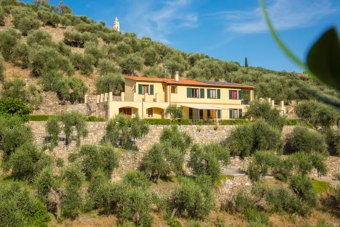 Villa Le Rocche nell'uliveto